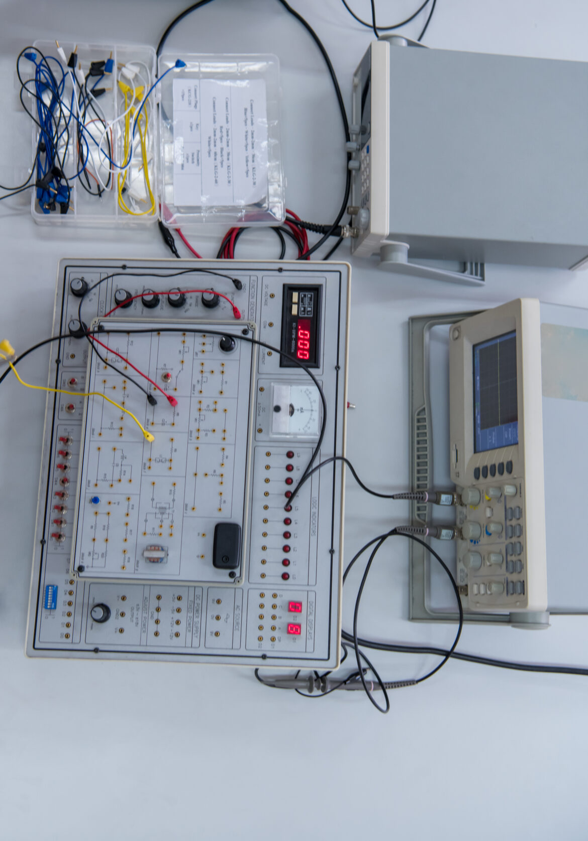 Kas yra elektrorecepcija ir kaip ją naudoja rykliai?