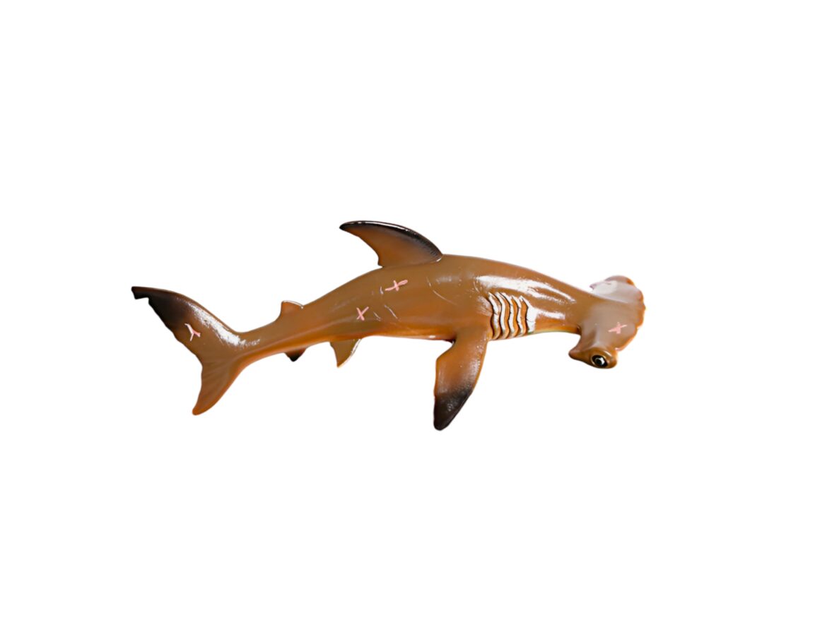 Porbeagle ryklys medžioja užsispyrusiai ir ryžtingai